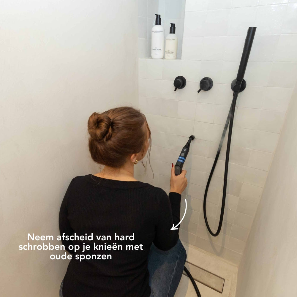 Limpiador a vapor de alto rendimiento TS2