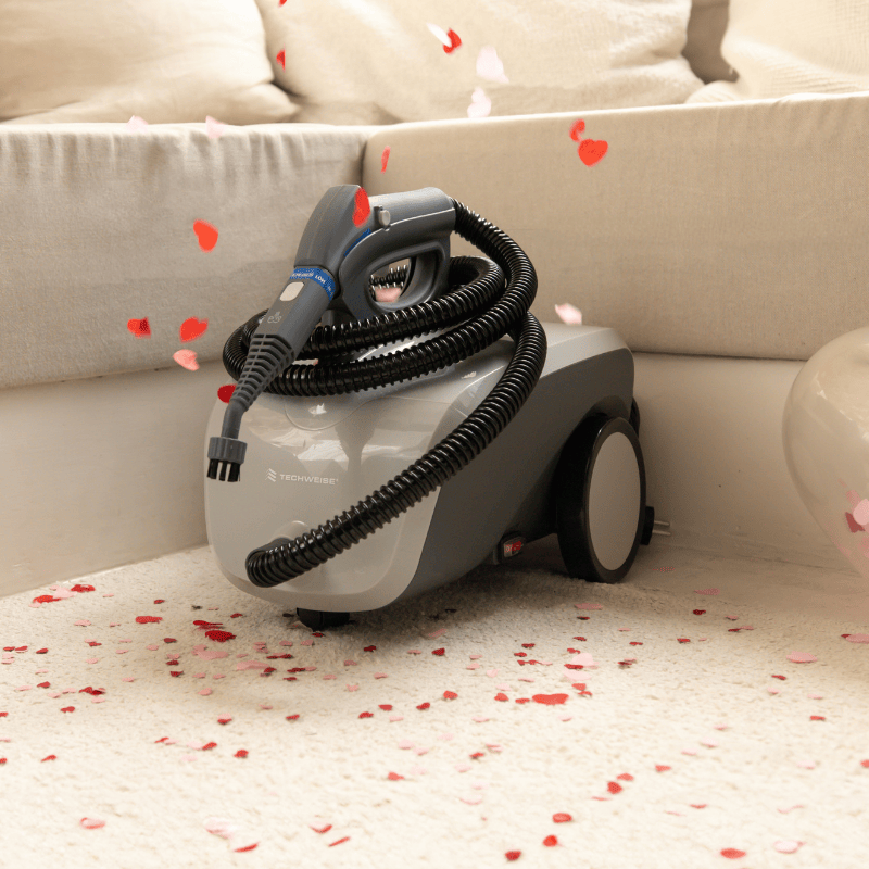 TS1 Limpiadora de vapor