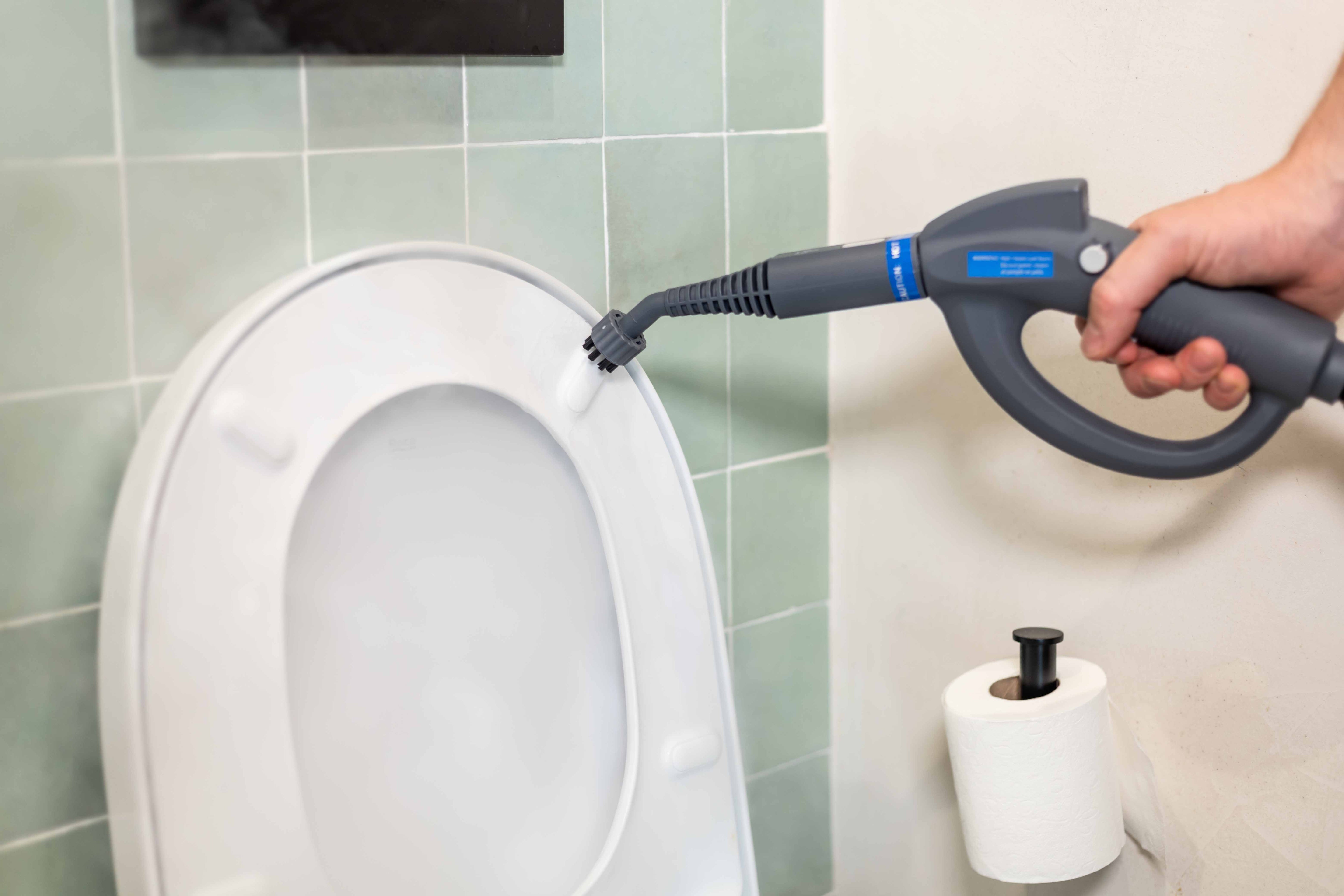 Juego adicional de 7 cepillos TS1